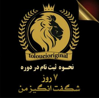 اموزش کسب درامد کاملا حرفه ای در 7 جلسه با قیمت باورنکردنی