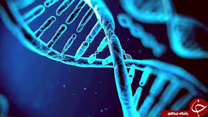 تحقیق درباره ژن‌ درماني