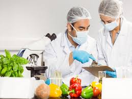 تحقیق درباره کاربرد نانو تکنولوژی در صنایع غذایی