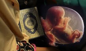 تحقیق درباره مراحل شکل گیری جنین و مدت مراحل آن از منظر قرآن و روایات مذاهب اسلامی