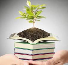 تحقیق درباره نوجوانی