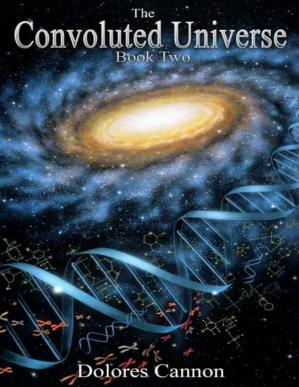 The Convoluted Universe - Book Two