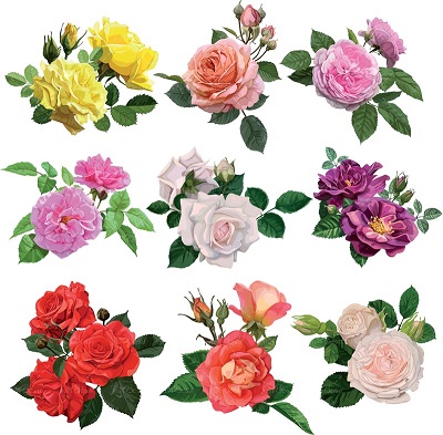 دانلود پاورپوینت درس اول هدیه های آسمان پنجم دسته گلی از آسمان