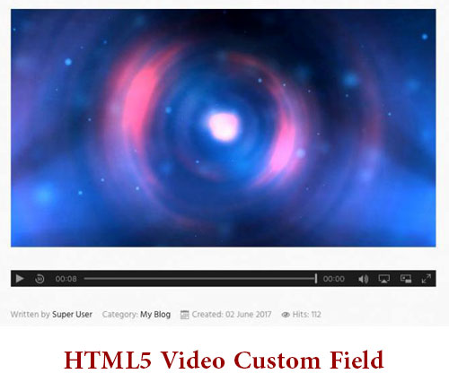 قرار دادن سریع ویدئو HTML5 Video Custom Field