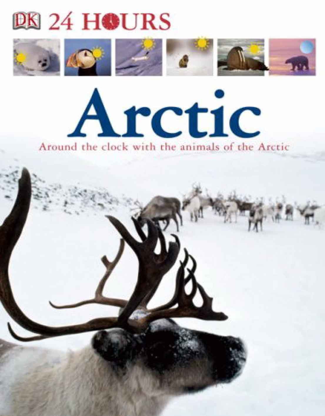 DK.PUBLISHING ARCTIC
