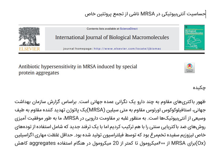 حساسیت آنتی‌بیوتیکی در MRSA ناشی از تجمع پروتئین خاص