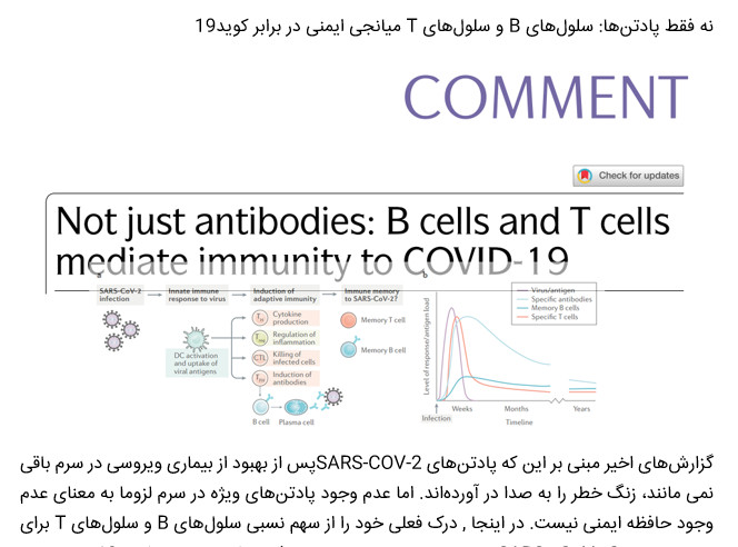 نه فقط پادتن‌ها: سلول‌های B و سلول‌های T میانجی ایمنی در برابر کوید19