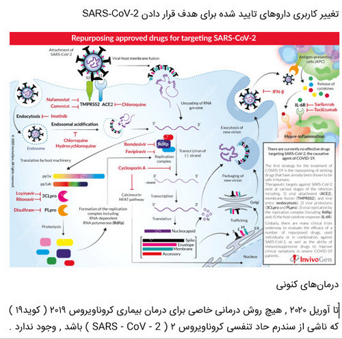 تغییر کاربری داروهای تایید شده برای هدف قرار دادن SARS-CoV-2