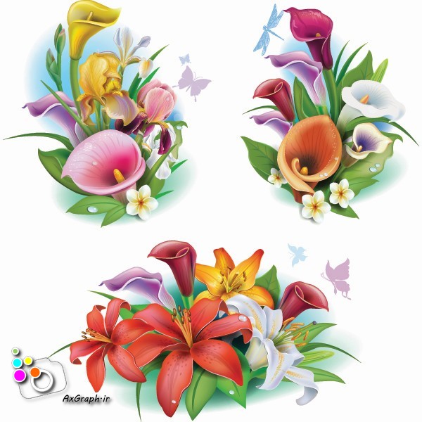 وکتور دسته گل لیلیوم -کد 208