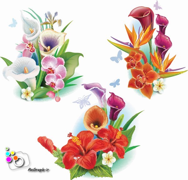 وکتور دسته گل لیلیوم -کد 209