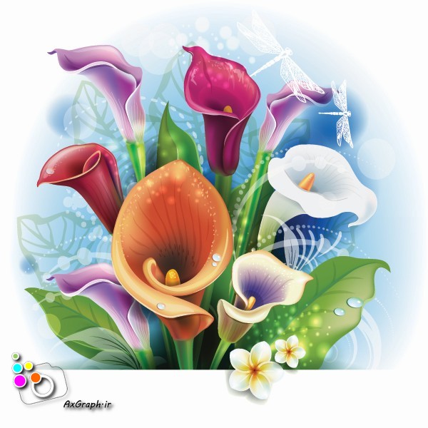 وکتور دسته گل لیلیوم -کد 217