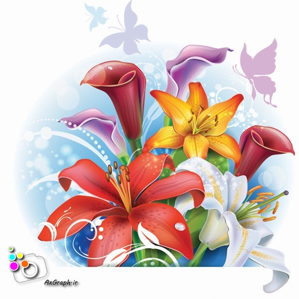 وکتور دسته گل لیلیوم -کد 218