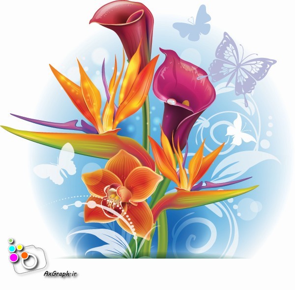 وکتور دسته گل لیلیوم -کد 221