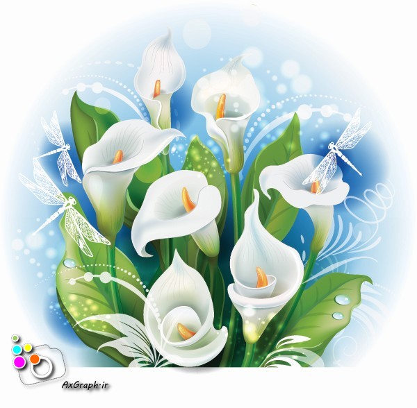 وکتور دسته گل لیلیوم -کد 222