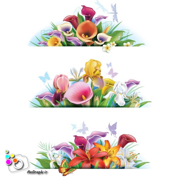 وکتور دسته گل لیلیوم -کد 236