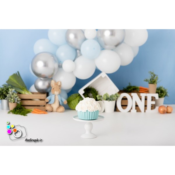 بک دراپ تولد تم خرگوش-کد 740