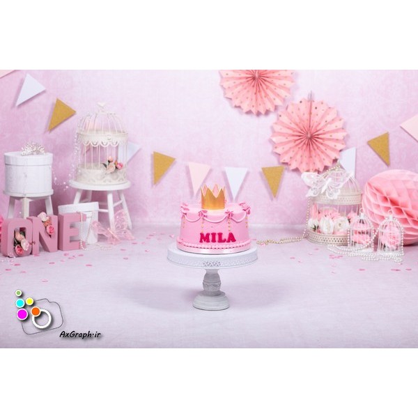 بک دراپ تولد تم پرنسس-کد 949