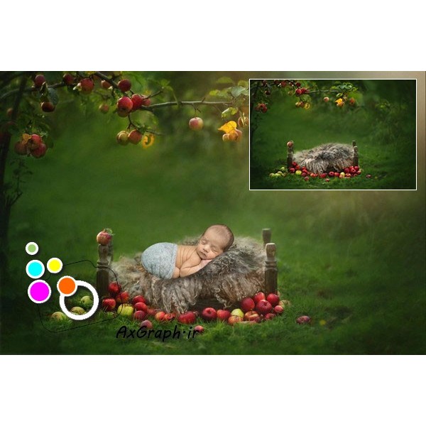 بک دراپ نوزاد و کودک تم تخت خواب در باغ سیب-کد 1206