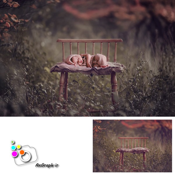 بک دراپ نوزاد صندلی چوبی در جنگل-کد 2113