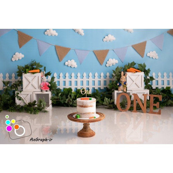 بک دراپ تولد تم خرگوش وهویج-کد 2303