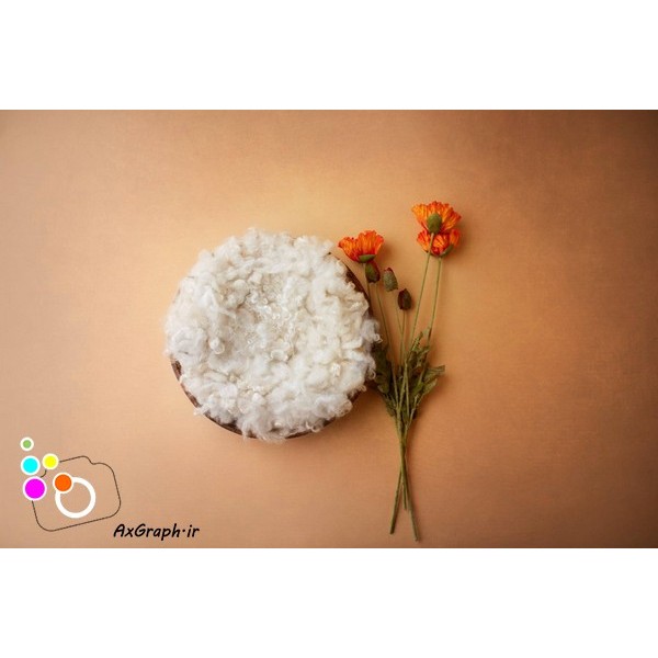 بک دراپ نوزاد گل شقایق-کد 2508