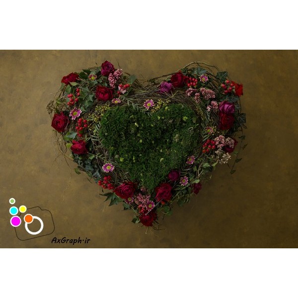 دانلود بک دراپ نوزاد قلب گل آرایی-کد 4696