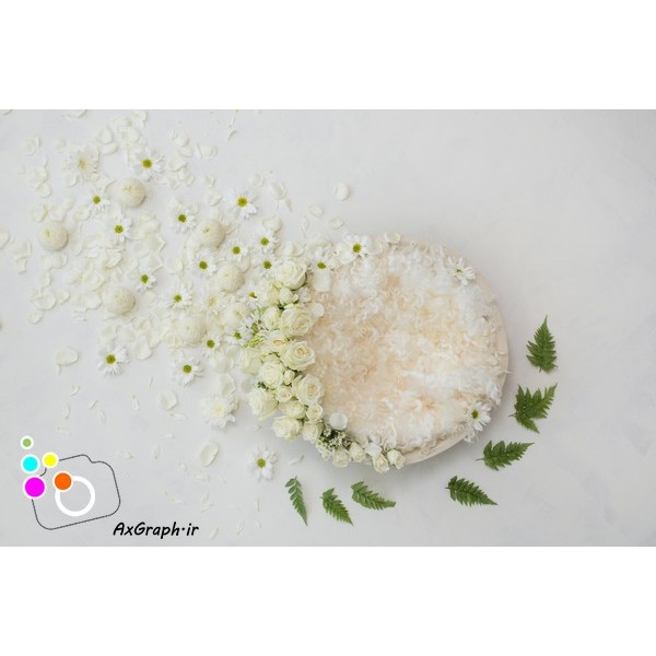 دانلود بک دراپ نوزاد کاسه چوبی و رزهای سپید-کد 4736