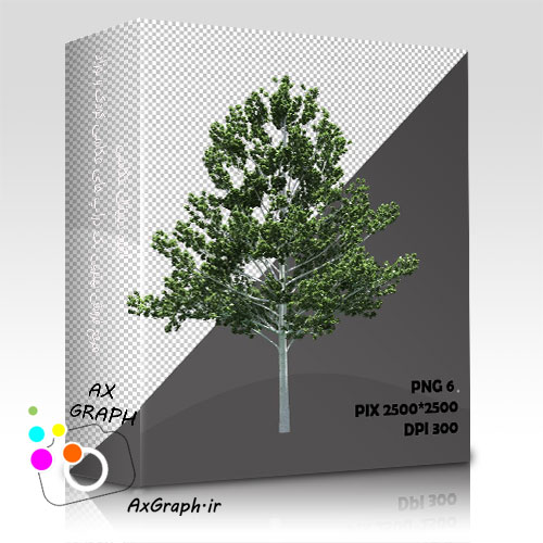 دانلود تصویر دور بری شده درخت واقعیِ چنار آمریکایی-کد 7016