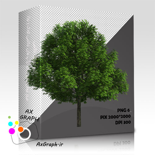 دانلود تصویر دور بری شده درخت واقعیِ زبان گنجشک-کد 7017