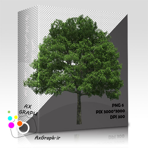 دانلود تصویر دور بری شده درخت واقعیِ افرای سیاه-کد 7020