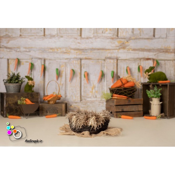 دانلود بک دراپ نوزاد سبد-کد 8003