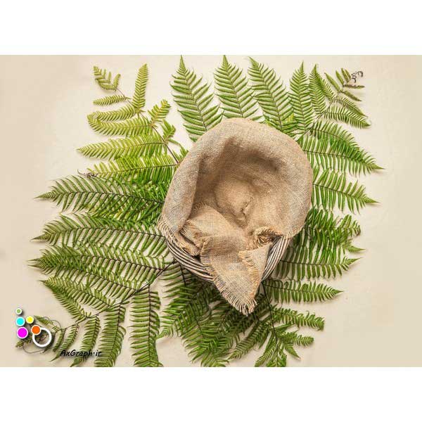دانلود بک دراپ نوزاد سبد و برگ-کد 8020