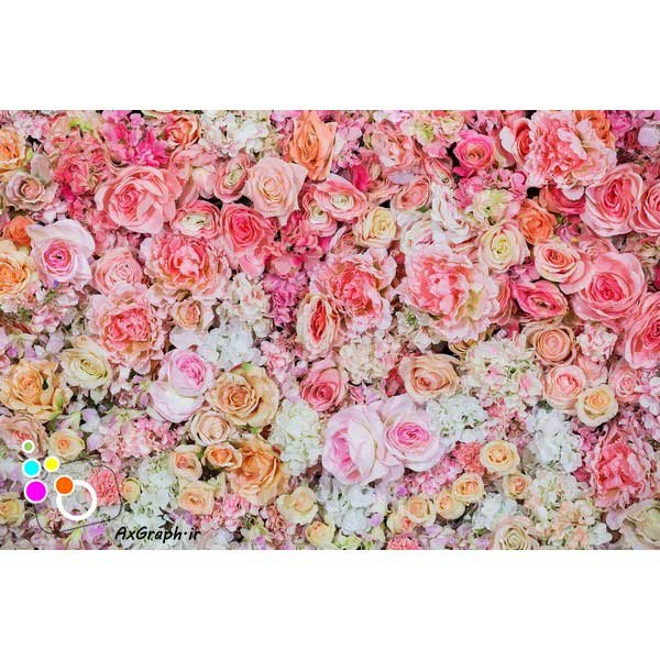 دانلود بک دراپ گلهای رز طبیعی-کد 6694