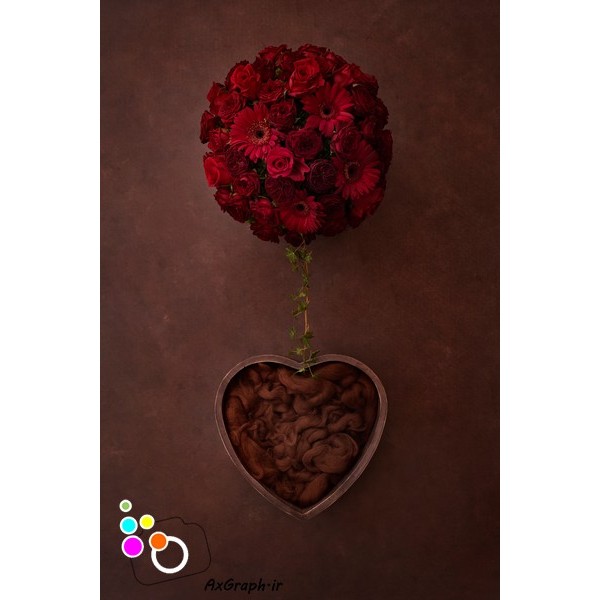 دانلود بک دراپ نوزاد قلب و گل ژربرای قرمز-کد 6700