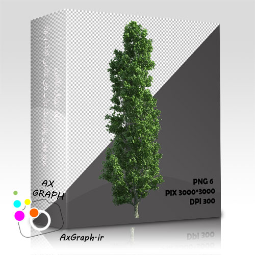 دانلود تصویر دور بری شده درخت واقعیِ پوپولوس-کد 7040