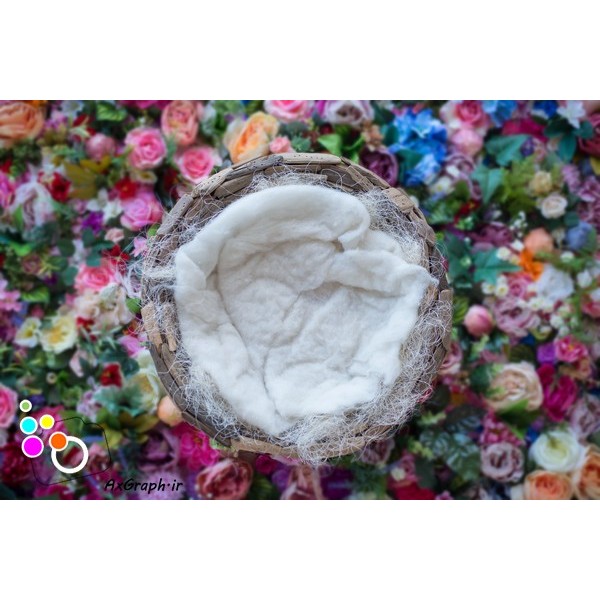 دانلود بک دراپ نوزاد لانه پرنده و گل رز-کد 6717