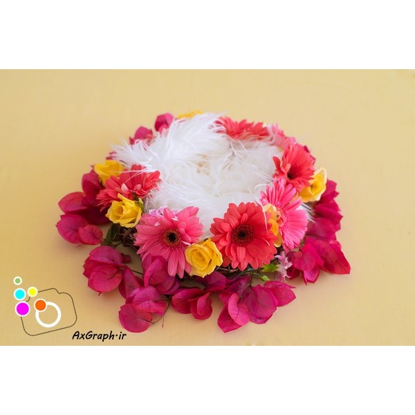 دانلود بک دراپ نوزاد لانه پرنده گل آرایی-کد 6720