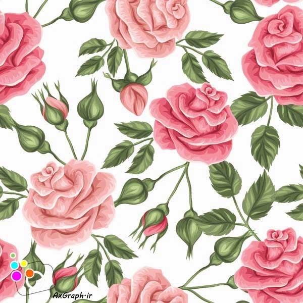 دانلود وکتور گل گلی غنچه و گل رز-کد 4318