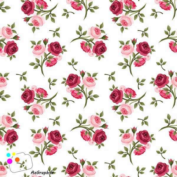 دانلود وکتور گل گلی رز صورتی-کد 4334