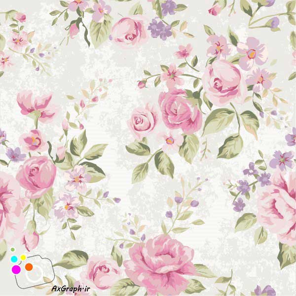 دانلود وکتور گل گلی صورتی و یاسی-کد 4343