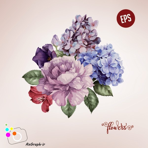 دانلود وکتور گل رز -کد 4485