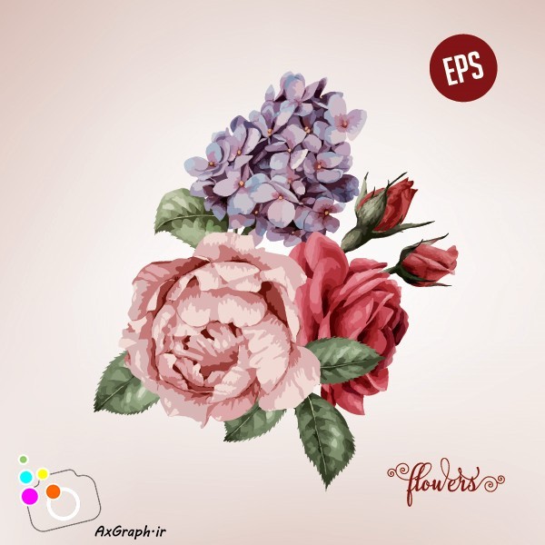 دانلود وکتور دسته گل رز -کد 4487