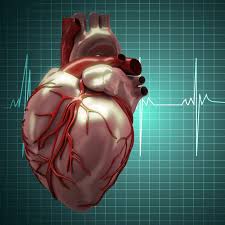 دانلود در مورد ایسکمی قلب (pdf)