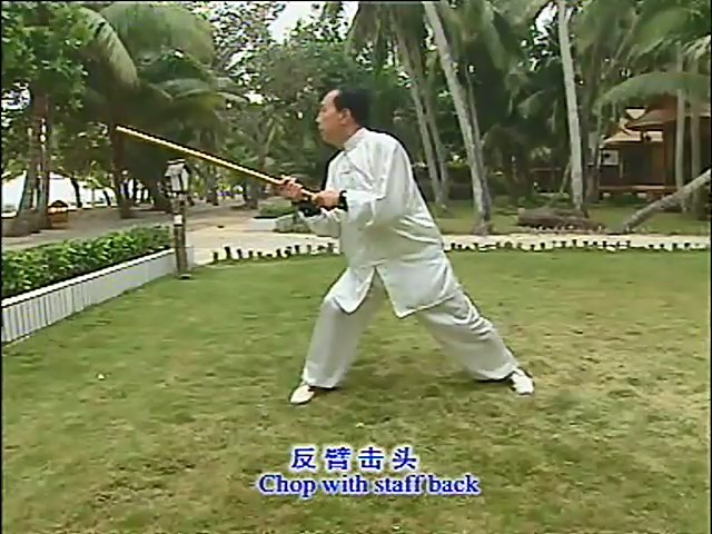 آموزش فرم چوب شلاقی سبک شینگ یی چوان