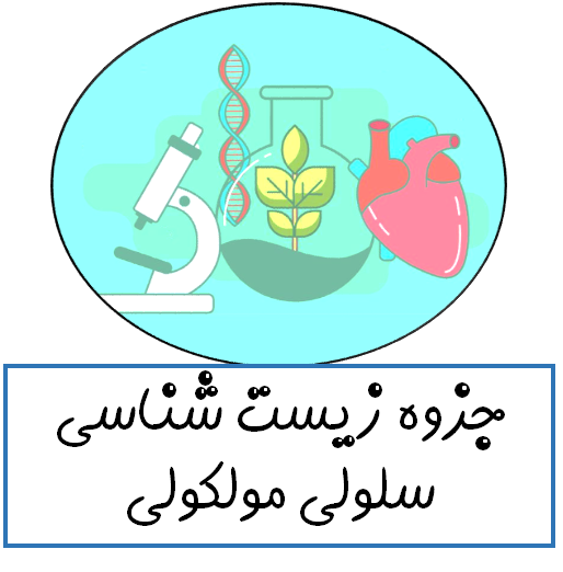 دانلود جزوه زیست شناسی سلولی مولکولی