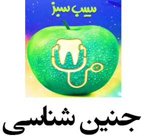 سیب سبز جنین شناسی