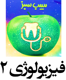 سیب سبز فیزیولوژی 2