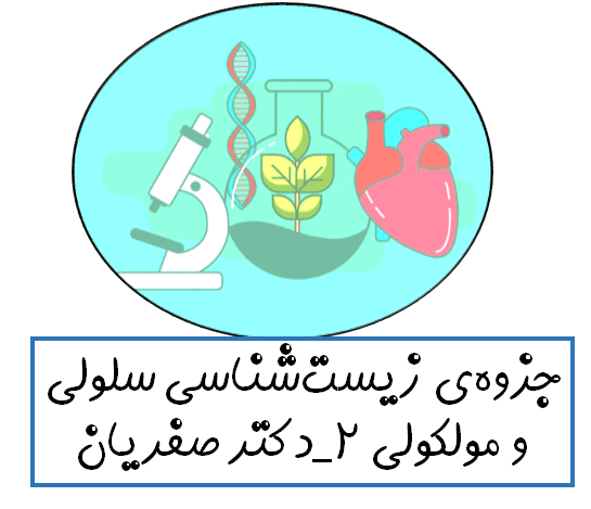 جزوه‌ی زیست‌شناسی سلولی و مولکولی 2_دکتر صفریان