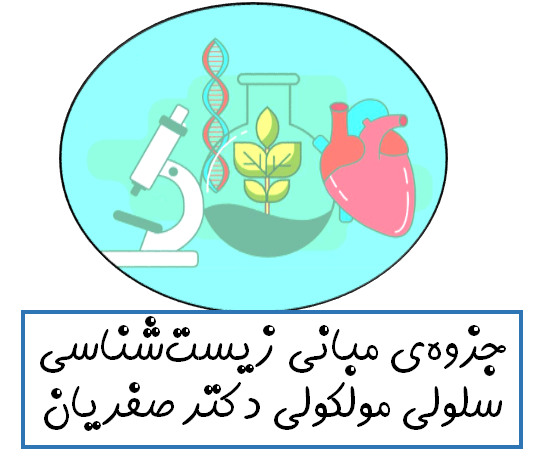 جزوه‌ی مبانی زیست‌شناسی سلولی مولکولی دکتر صفریان