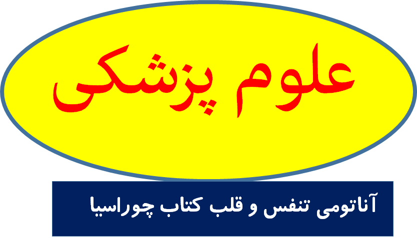 آناتومی تنفس و قلب چوراسیا
